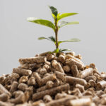 España consume casi 6,5 millones de tep anuales de biomasa, biogás y residuos, según el nuevo estudio del IDAE