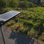 SIGNIFY revalida la medalla platino de EcoVadis con su mejor puntuación hasta la fecha